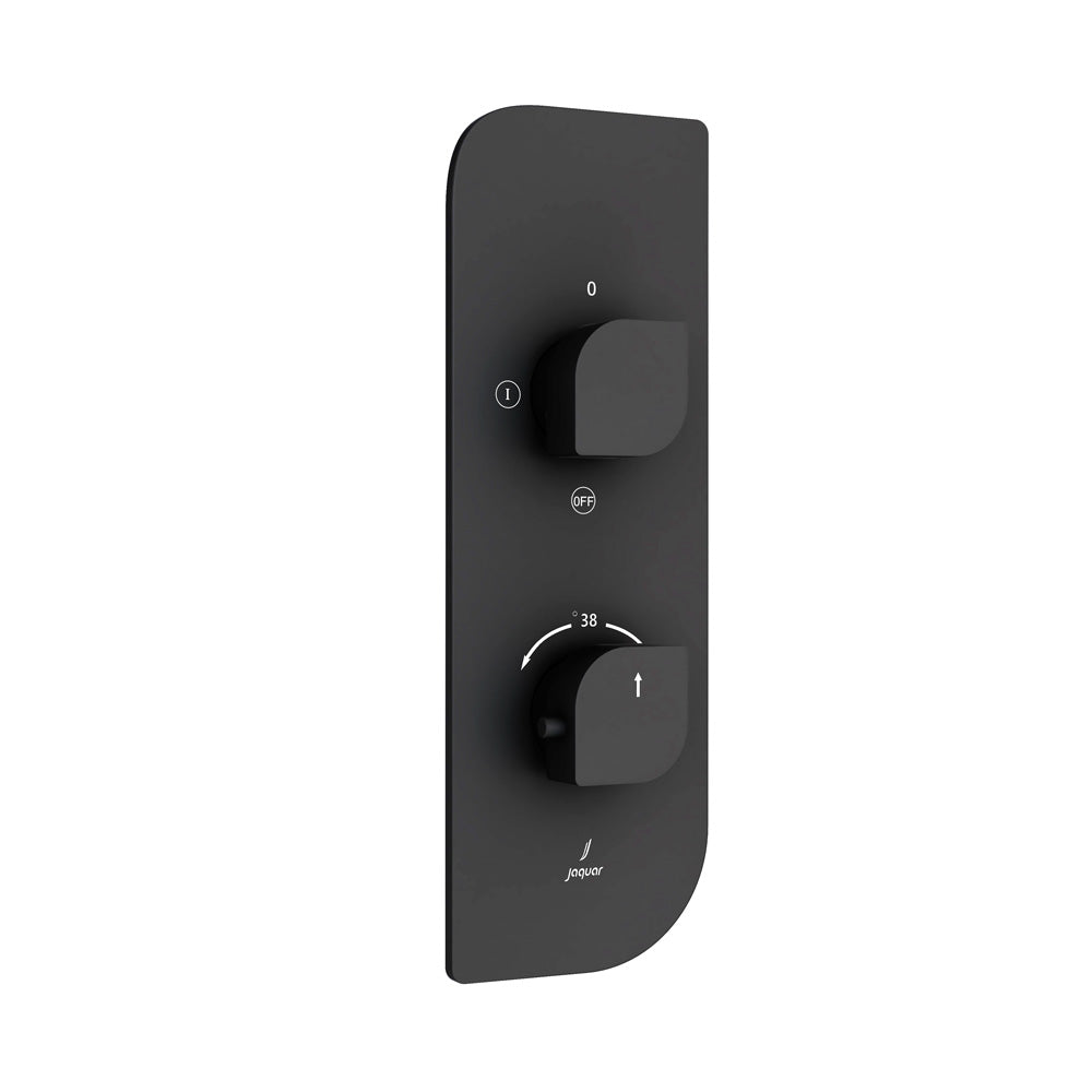 Exposed Body of Thermostatic Shower Mixer 2 way - Alive