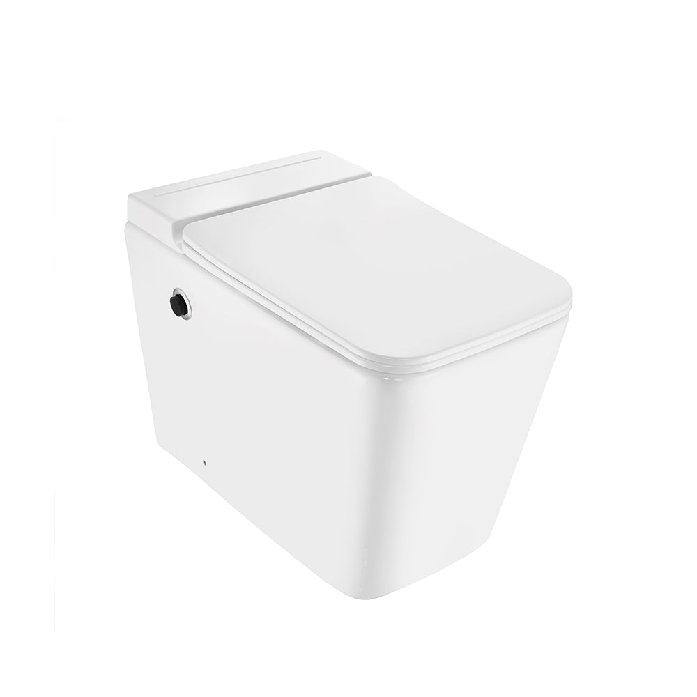Tankless Single Piece Toilet - Aria