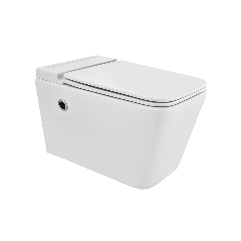 Wall Hung Tankless Toilet - Aria
