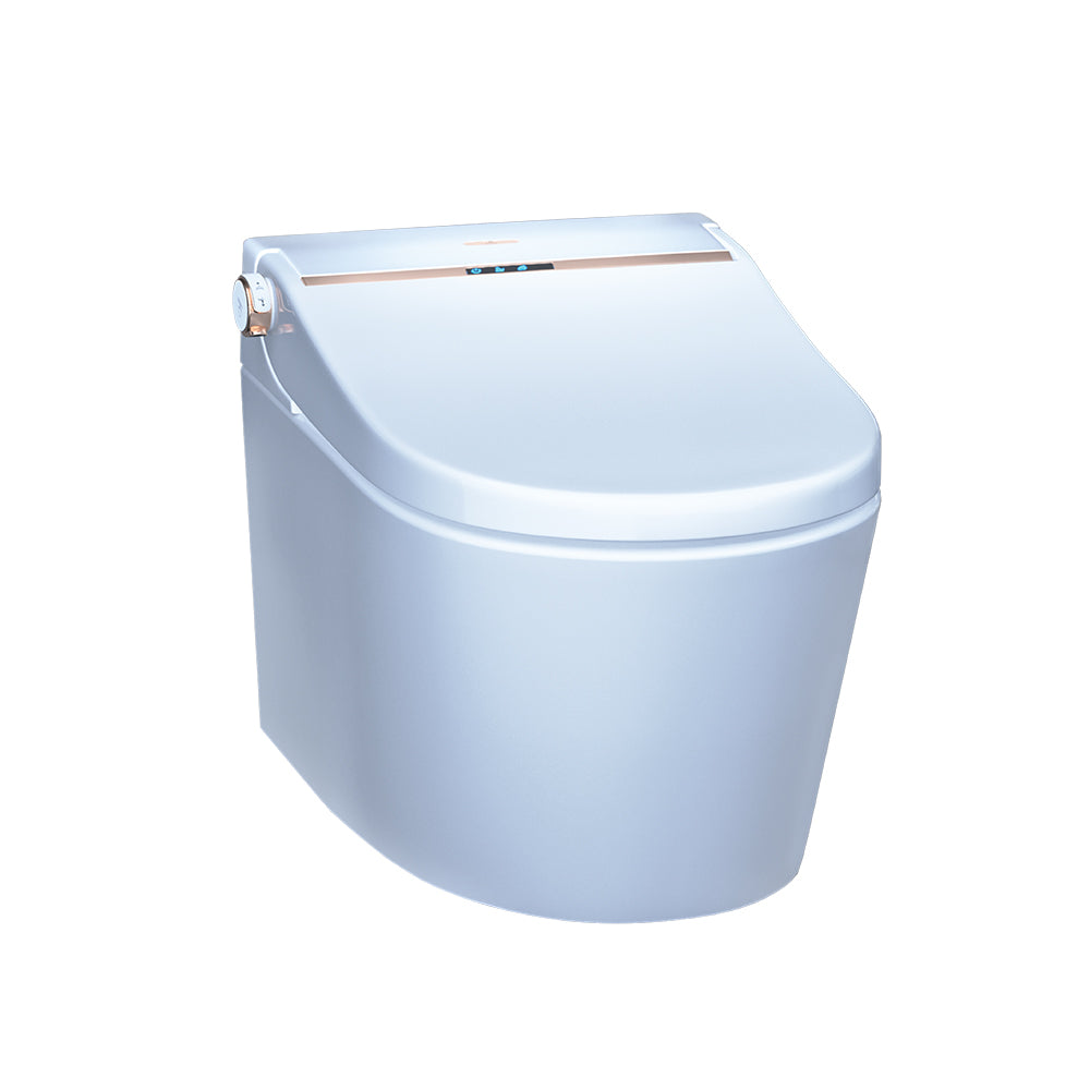 Fully Automatic Wall Hung Toilet White - Luxelet
