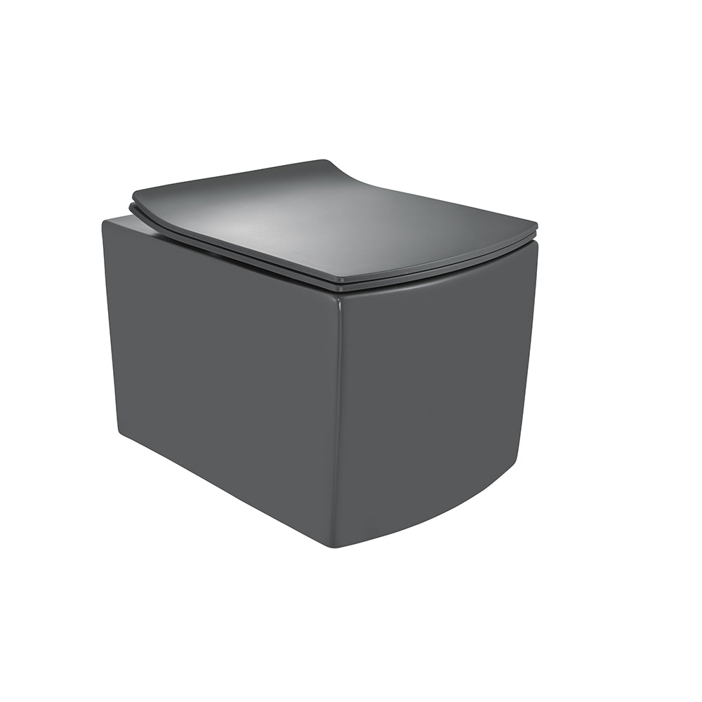 Rimless Blind Installation Wall Hung Toilet-Jaquar-Designer