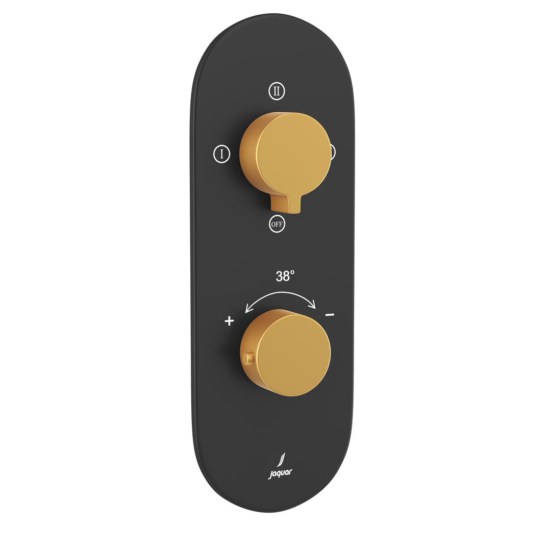 Exposed Body of Thermostatic Shower Mixer 3 way - Laguna