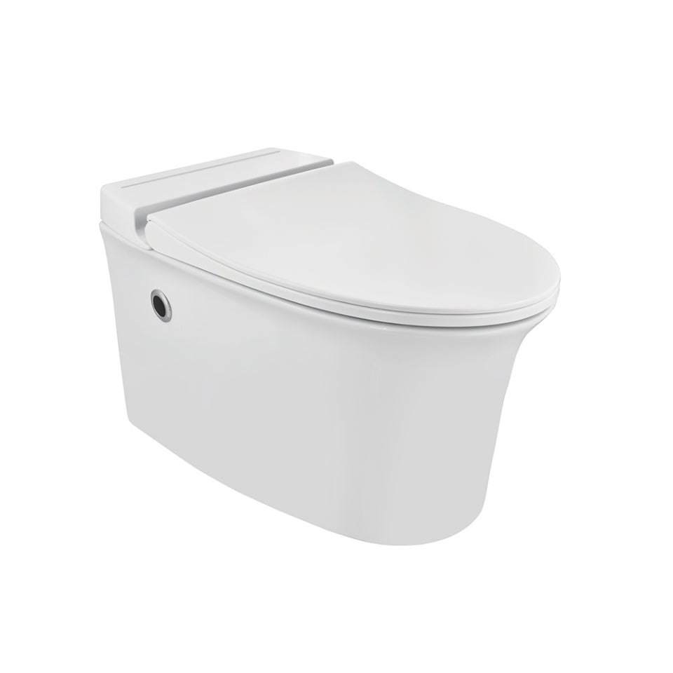 Wall Hung Tankless Toilet - Ornamix