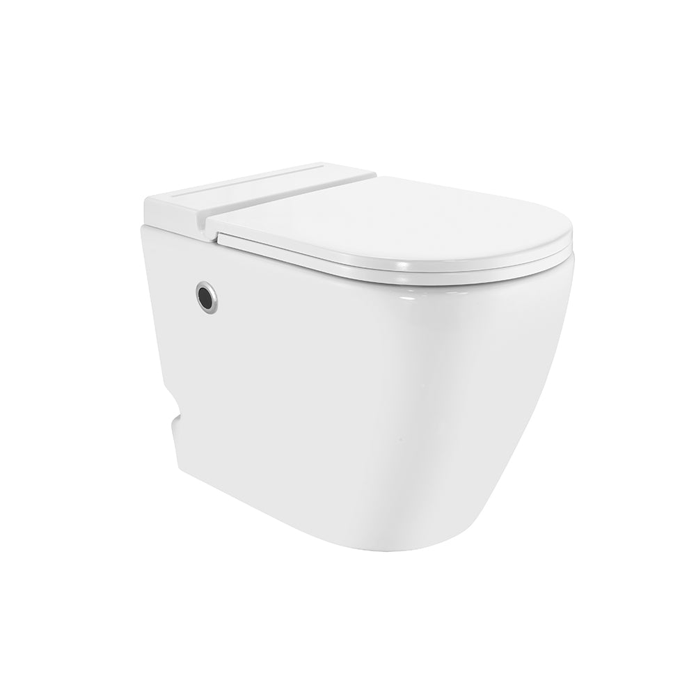 Tankless Single Piece Toilet - Opal
