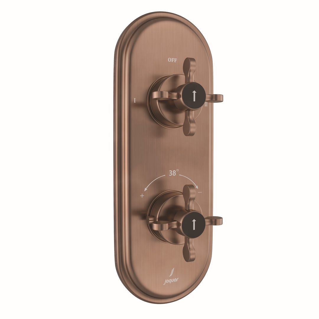 Exposed Body of Thermostatic Shower Mixer 2 way - Queens