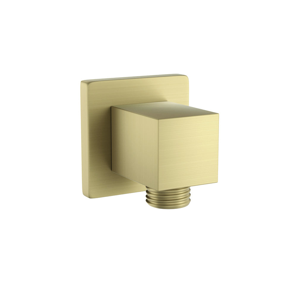 Showers Accessories - Brass Matt