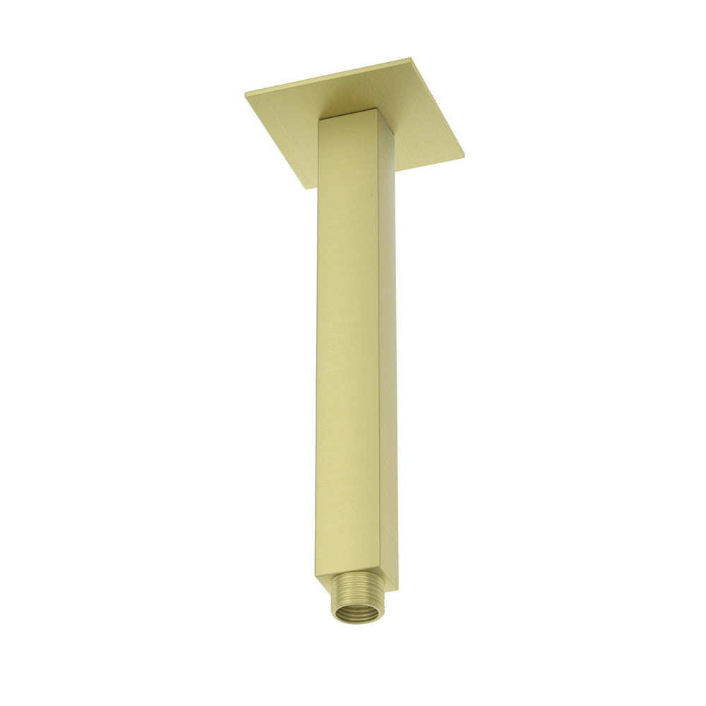 Showers Accessories - Brass Matt
