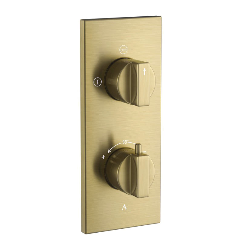 Thermostatic Shower Mixer 2 Way