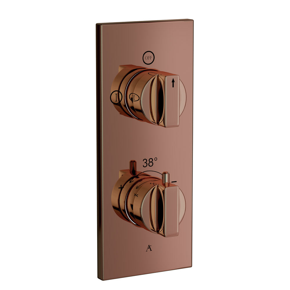 Thermostatic Shower Mixer 2 Way