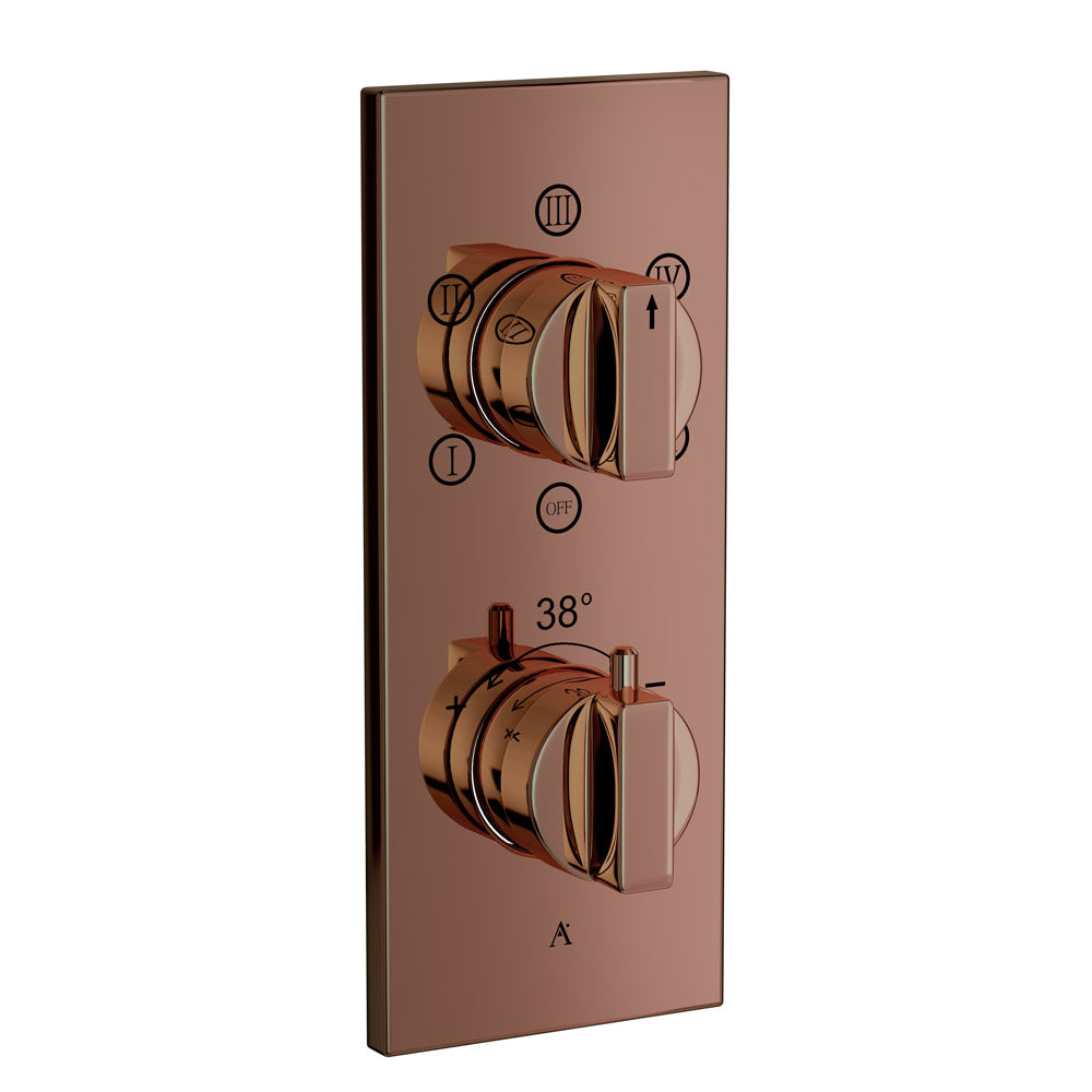 Thermostatic Shower Mixer 5 Way
