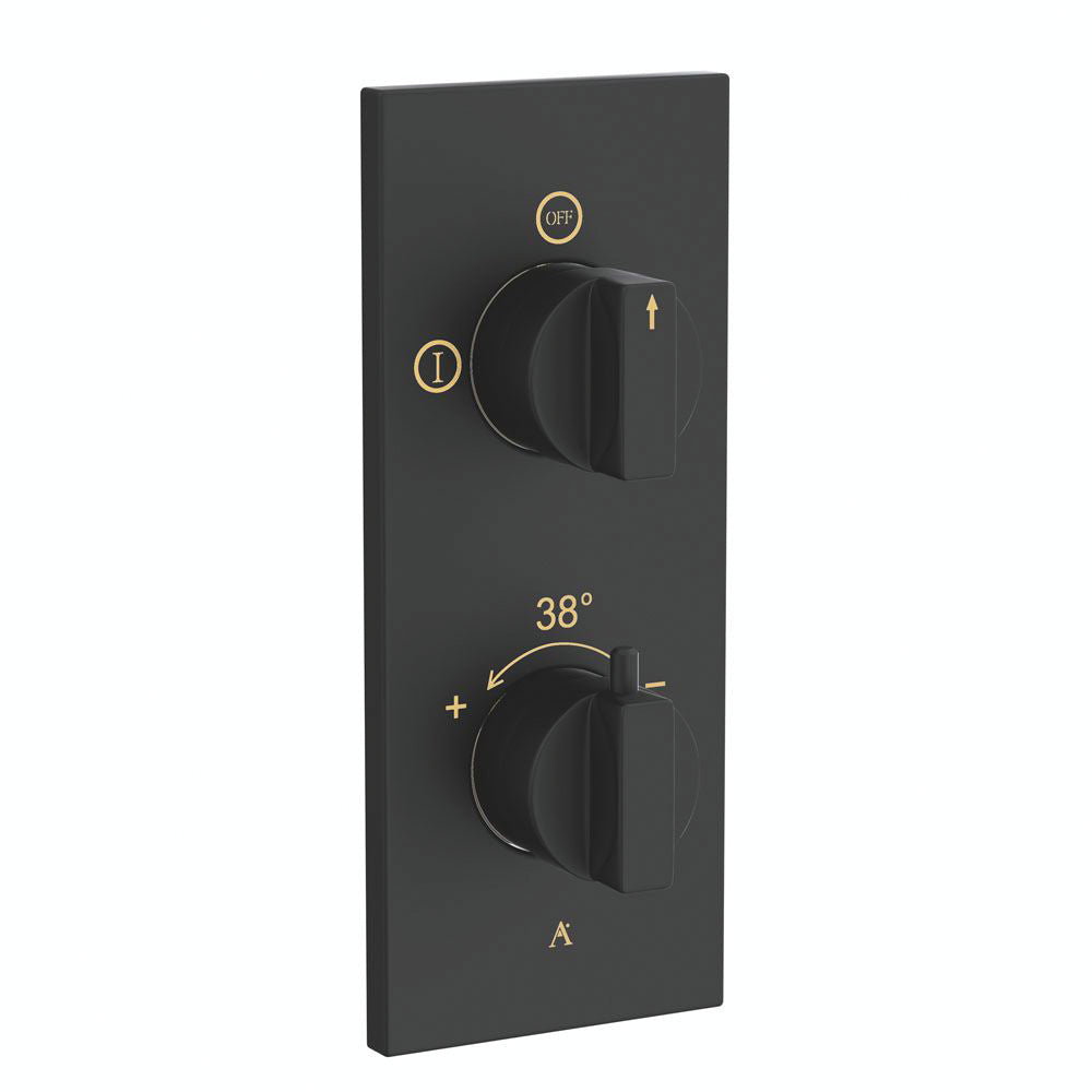 Thermostatic Shower Mixer 2 Way
