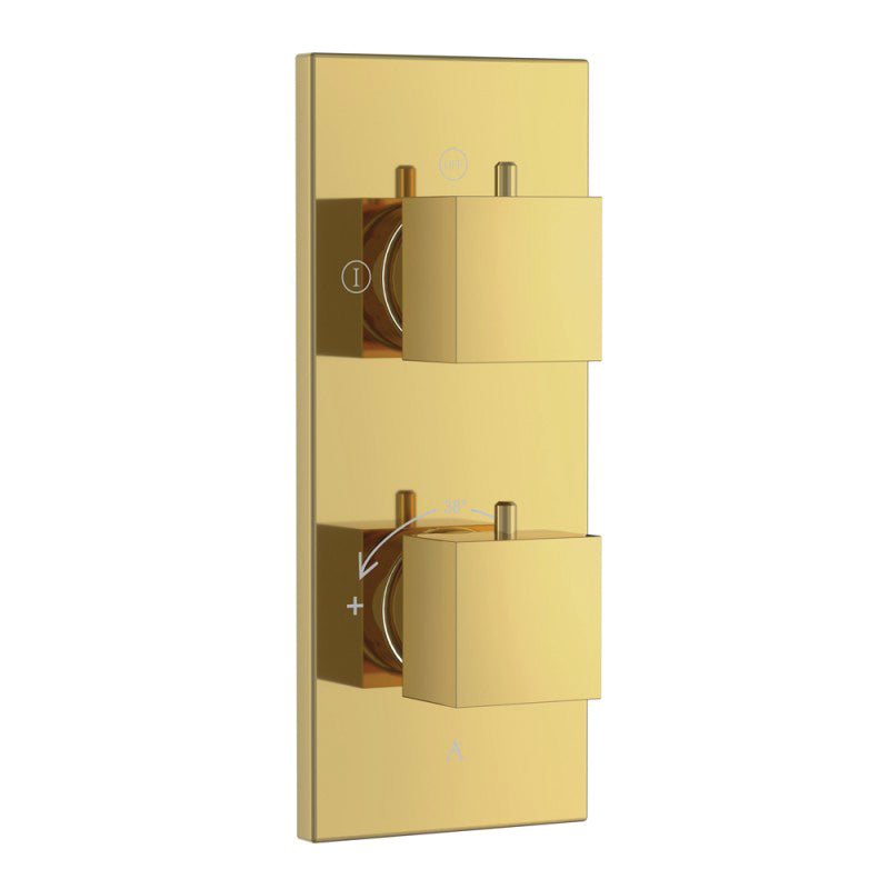 Thermostatic Shower Mixer 2 Way