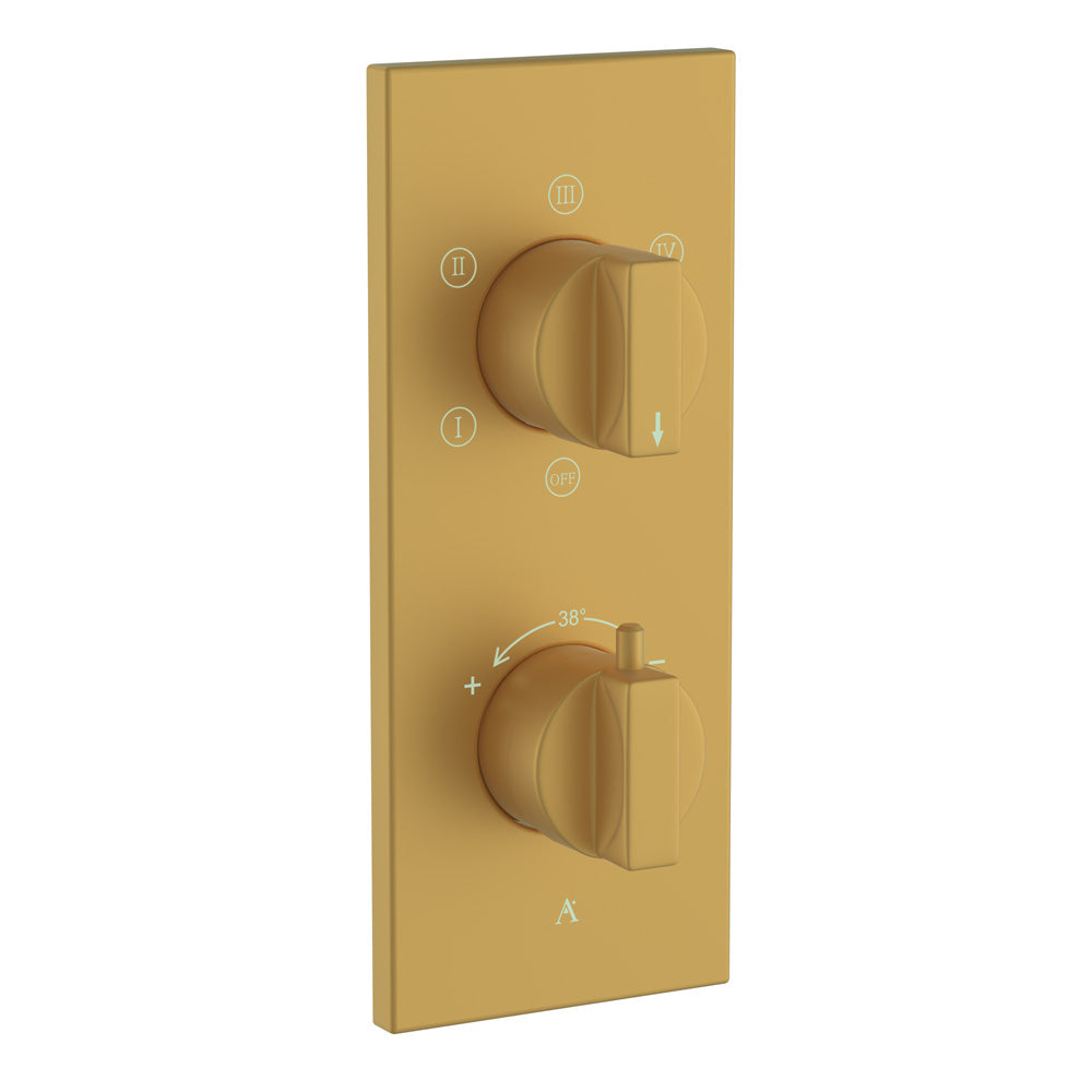Thermostatic Shower Mixer 5 Way
