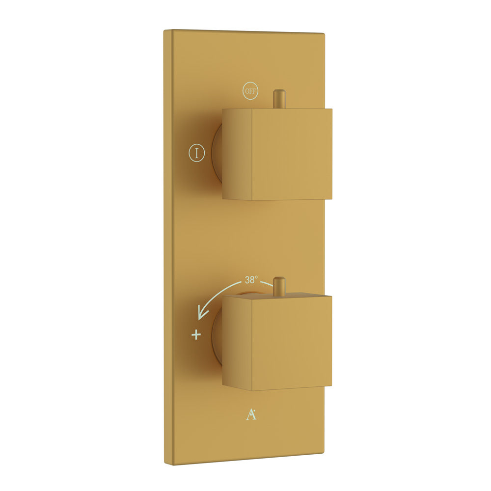 Thermostatic Shower Mixer 2 Way