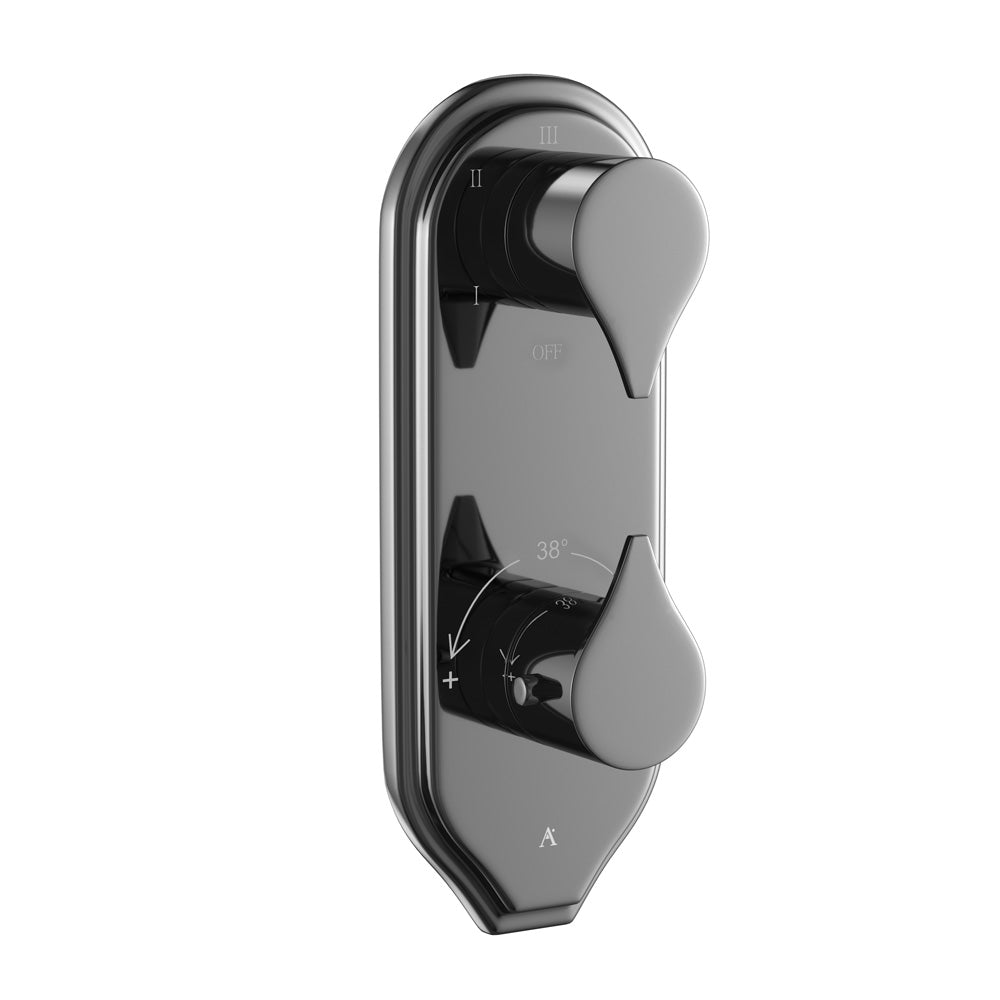 Thermostatic Shower Mixer 5 way - Tiaara