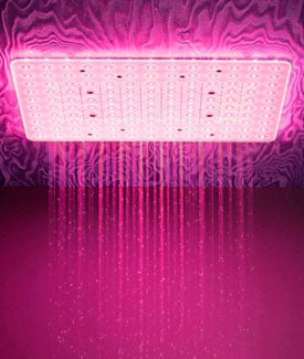 Artize Shower Heads