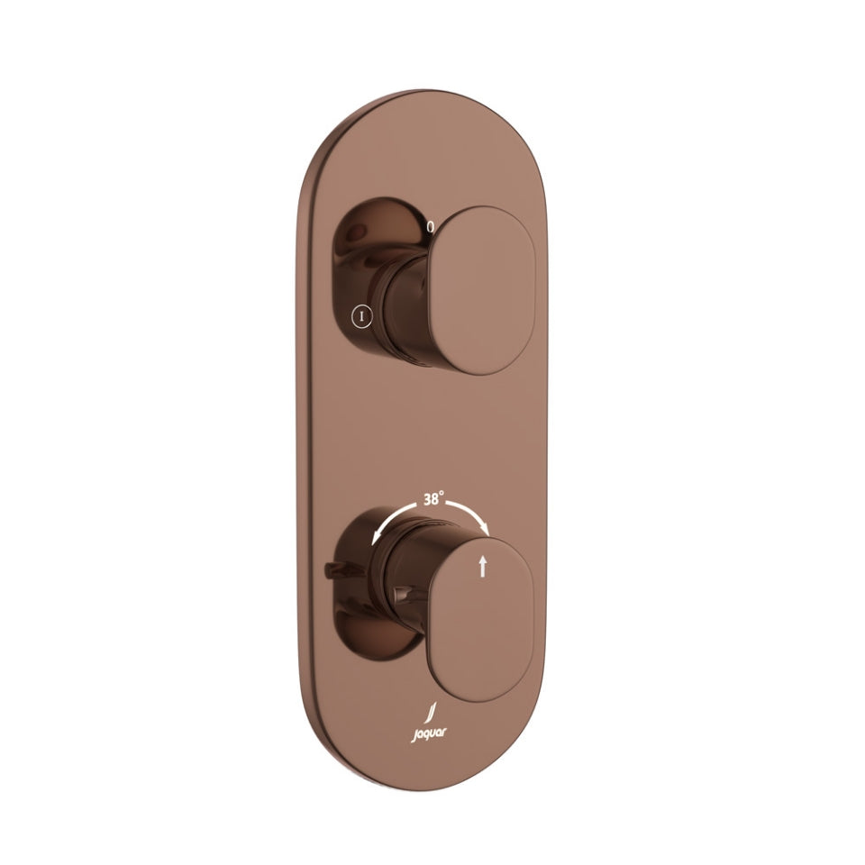 EXPOSED PART OF THERMOSTATIC SHOWER MIXER 2 WAY
