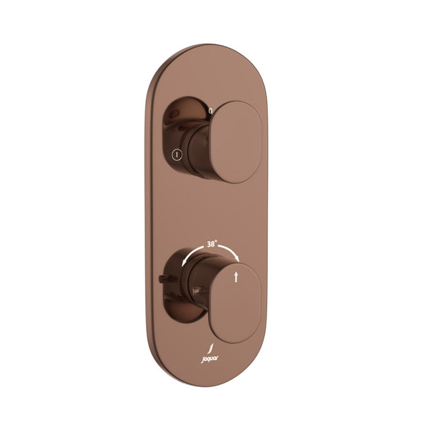 EXPOSED PART OF THERMOSTATIC SHOWER MIXER 2 WAY