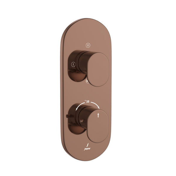 EXPOSED PART OF THERMOSTATIC SHOWER MIXER 3 WAY