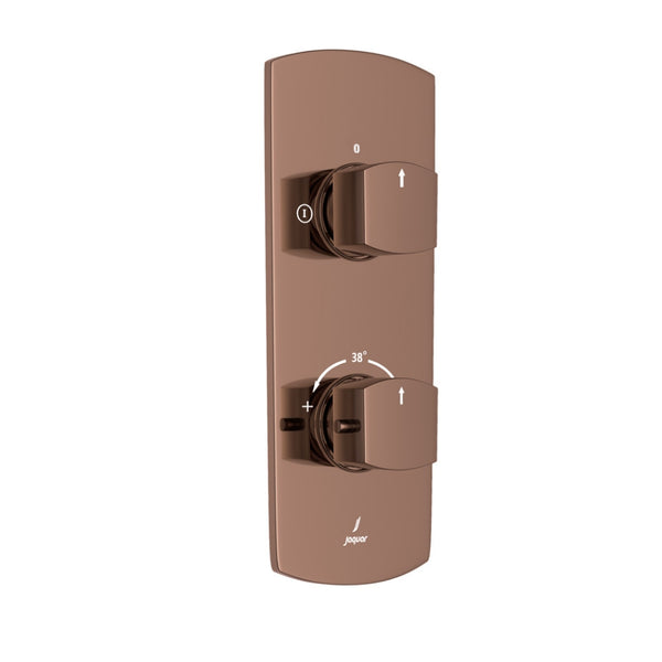 EXPOSED PART OF THERMOSTATIC SHOWER MIXER 2 WAY