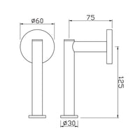 Spare Toilet Paper Holder - Chrome