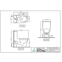 Rimless Single Piece Toilet