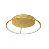 Gold Bright PVD