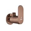 Blush Gold PVD