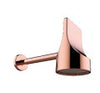 Blush Gold PVD