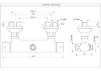 Multifunction Thermostatic Shower Valve