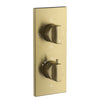 Antique Bronze