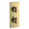 Antique Bronze