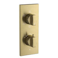 Thermatik-R In-wall Thermostatic Shower Valve with 5-Way Diverter