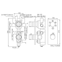 Thermatik-R In-wall Thermostatic Shower Valve with 5-Way Diverter