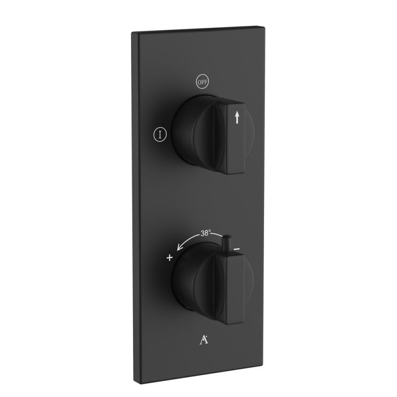 Thermatik-R In-wall Thermostatic Shower Valve with 2-Way Diverter