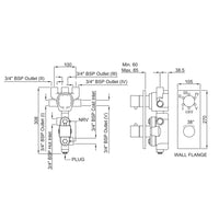 Thermatik-S In-wall Thermostatic Shower Valve with 5-Way Diverter