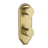 Antique Bronze