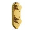 Gold Bright PVD