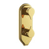 Gold Bright PVD