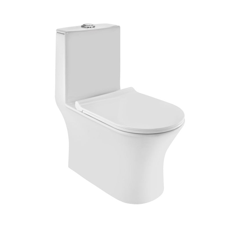 Rimless Single Piece Toilet