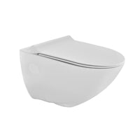 Rimless Wall Hung Toilet