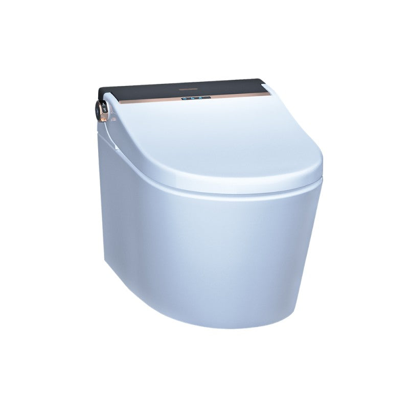 Wall Hung Toilet