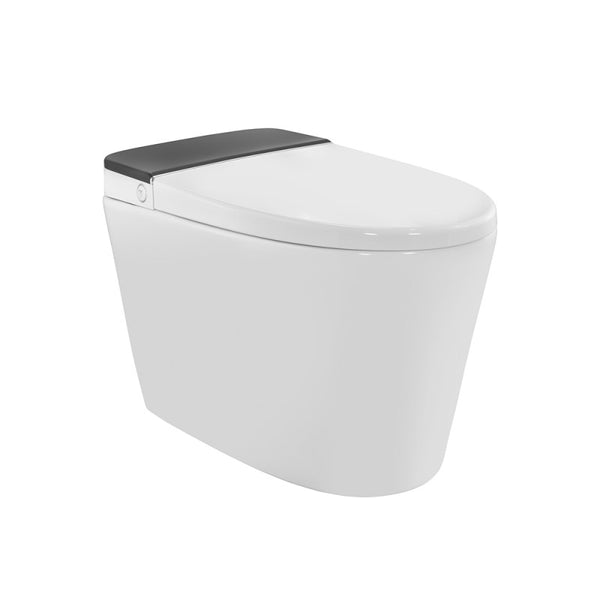 Fully Automatic Rimless Floor Mounted Toilet