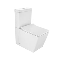 Rimless Bowl With Cistern For Coupled Toilet
