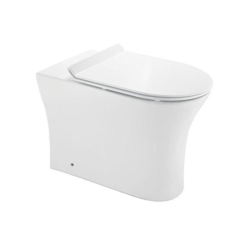 Rimless Back To Wall Toilet