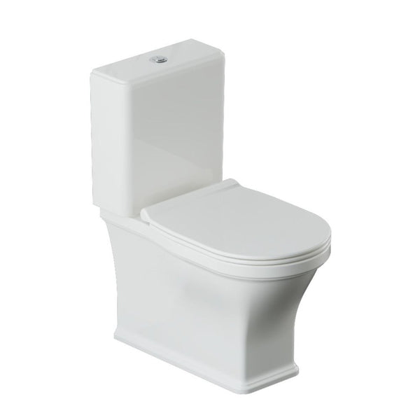 Rimless Bowl With Cistern For Coupled Toilet